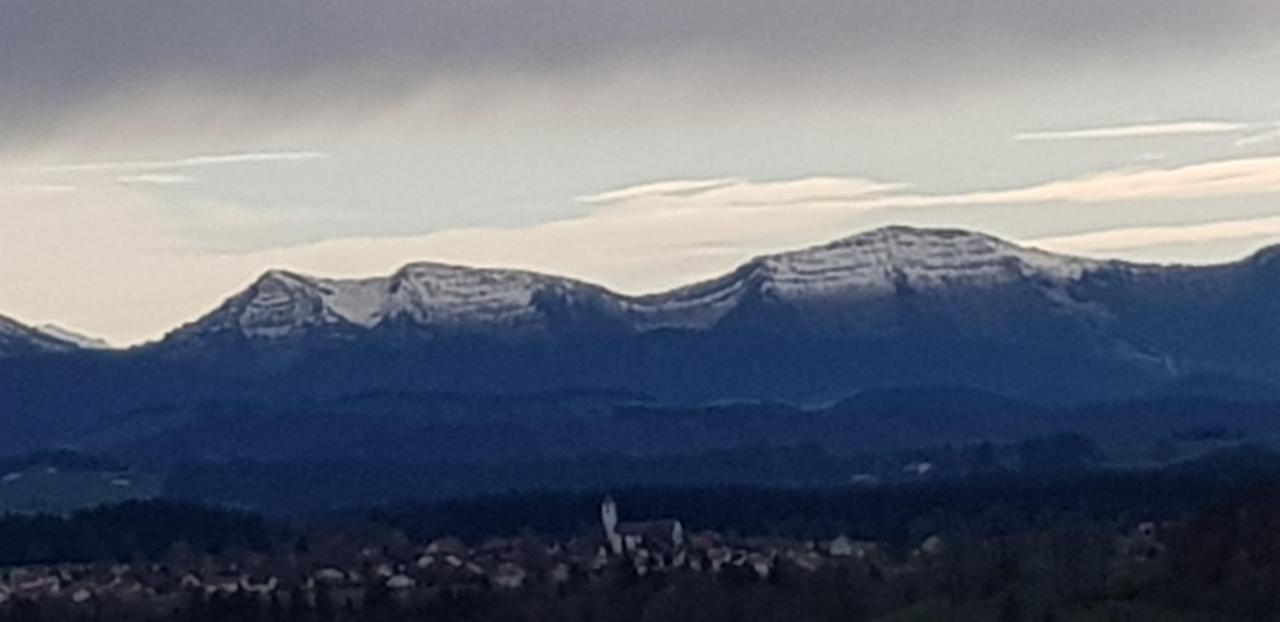 Alpenblick Apartment Leutkirch im Allgau Luaran gambar