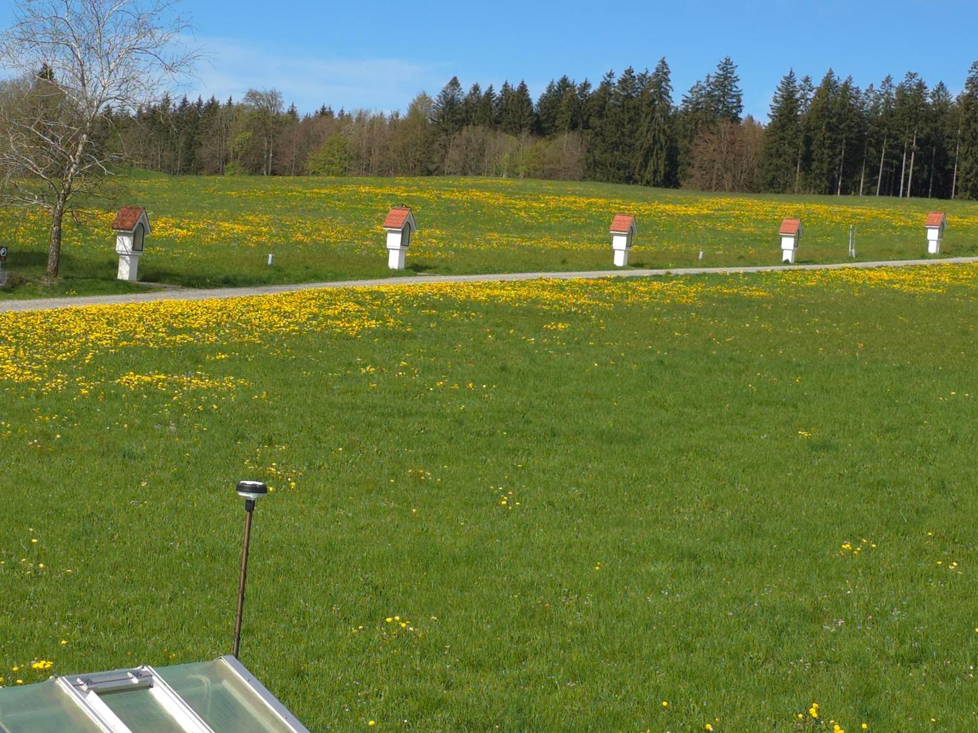 Alpenblick Apartment Leutkirch im Allgau Bilik gambar